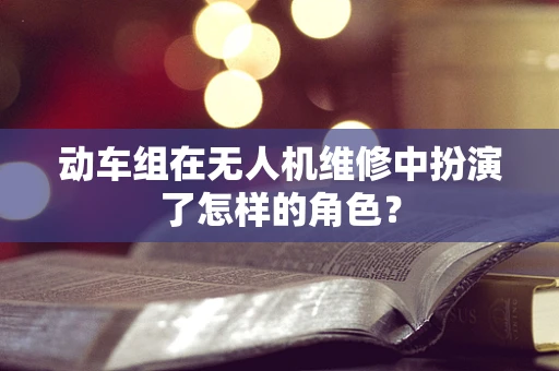 动车组在无人机维修中扮演了怎样的角色？