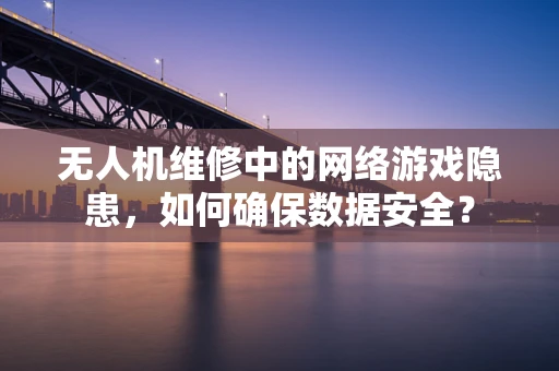 无人机维修中的网络游戏隐患，如何确保数据安全？