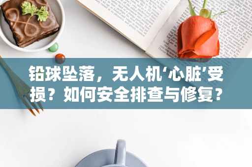 铅球坠落，无人机‘心脏’受损？如何安全排查与修复？