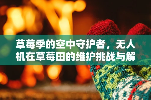 草莓季的空中守护者，无人机在草莓田的维护挑战与解决方案