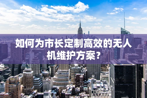 如何为市长定制高效的无人机维护方案？