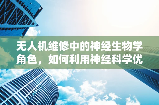 无人机维修中的神经生物学角色，如何利用神经科学优化无人机导航系统？
