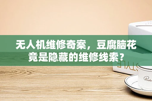 无人机维修奇案，豆腐脑花竟是隐藏的维修线索？