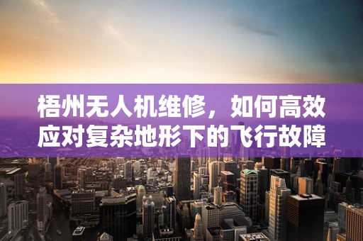 梧州无人机维修，如何高效应对复杂地形下的飞行故障？