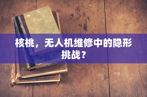 核桃，无人机维修中的隐形挑战？