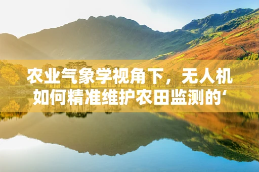 农业气象学视角下，无人机如何精准维护农田监测的‘慧眼’？