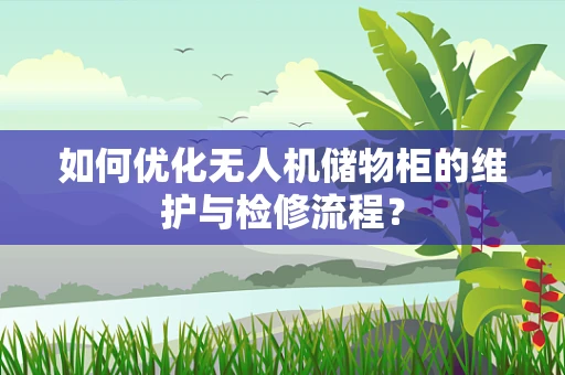如何优化无人机储物柜的维护与检修流程？