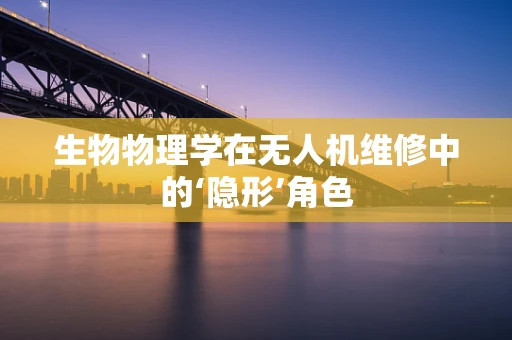 生物物理学在无人机维修中的‘隐形’角色