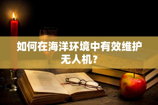 如何在海洋环境中有效维护无人机？
