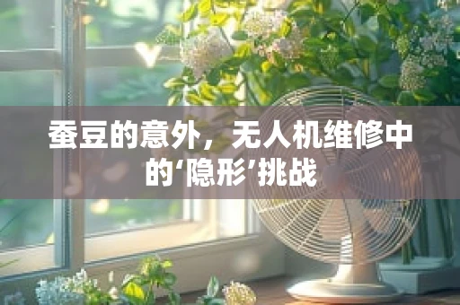 蚕豆的意外，无人机维修中的‘隐形’挑战