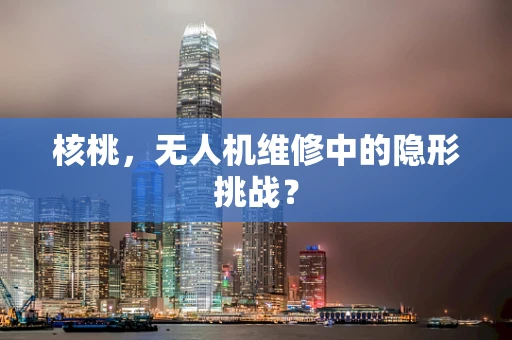 核桃，无人机维修中的隐形挑战？