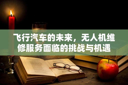 飞行汽车的未来，无人机维修服务面临的挑战与机遇