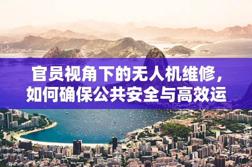 官员视角下的无人机维修，如何确保公共安全与高效运维？