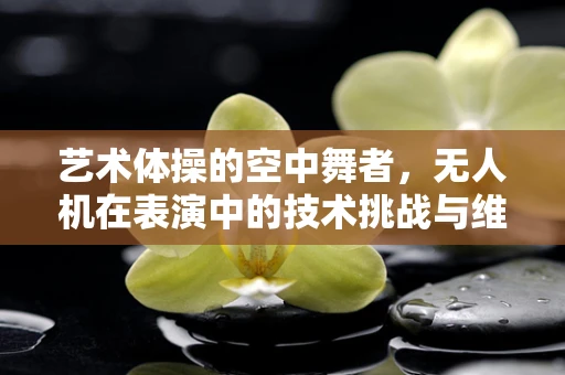 艺术体操的空中舞者，无人机在表演中的技术挑战与维修艺术