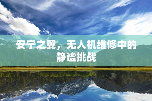 安宁之翼，无人机维修中的静谧挑战