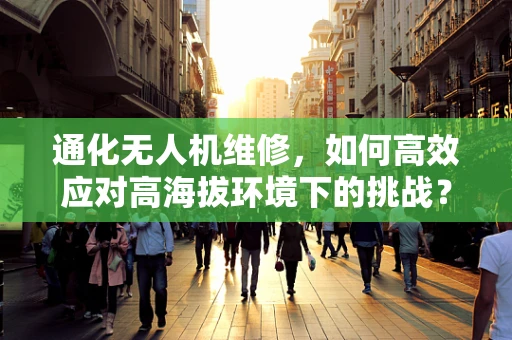 通化无人机维修，如何高效应对高海拔环境下的挑战？