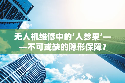 无人机维修中的‘人参果’——不可或缺的隐形保障？