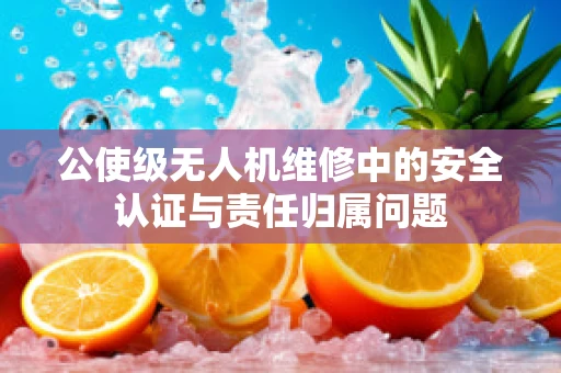 公使级无人机维修中的安全认证与责任归属问题