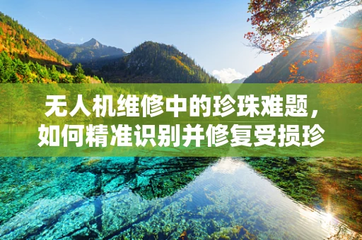 无人机维修中的珍珠难题，如何精准识别并修复受损珍珠涂层？