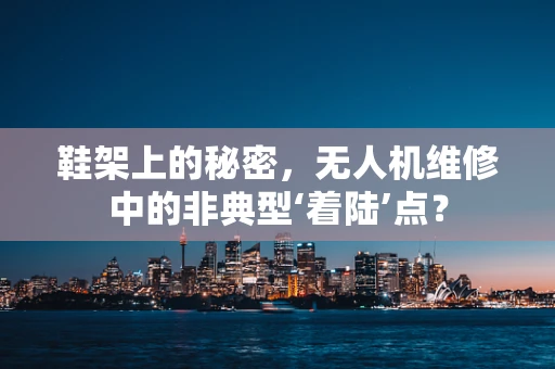 鞋架上的秘密，无人机维修中的非典型‘着陆’点？