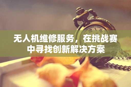 无人机维修服务，在挑战赛中寻找创新解决方案