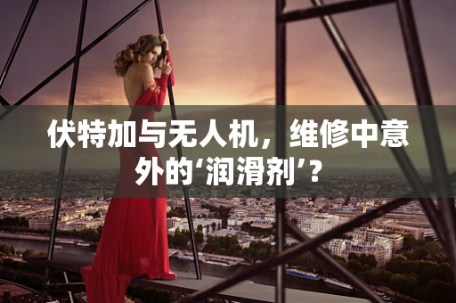 伏特加与无人机，维修中意外的‘润滑剂’？