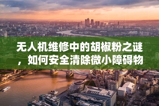 无人机维修中的胡椒粉之谜，如何安全清除微小障碍物？