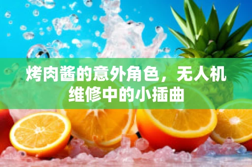 烤肉酱的意外角色，无人机维修中的小插曲