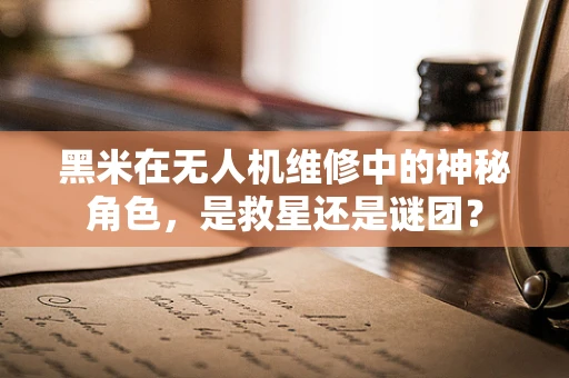 黑米在无人机维修中的神秘角色，是救星还是谜团？