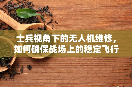 士兵视角下的无人机维修，如何确保战场上的稳定飞行？
