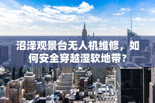 沼泽观景台无人机维修，如何安全穿越湿软地带？