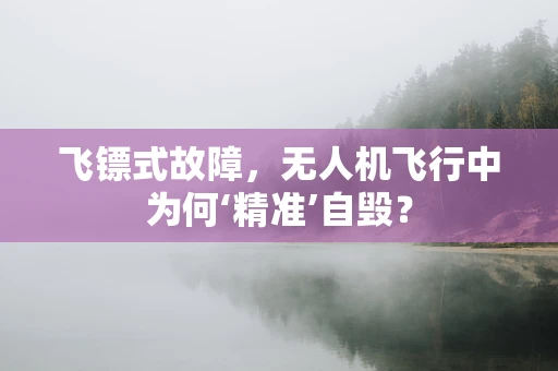 飞镖式故障，无人机飞行中为何‘精准’自毁？