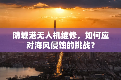防城港无人机维修，如何应对海风侵蚀的挑战？