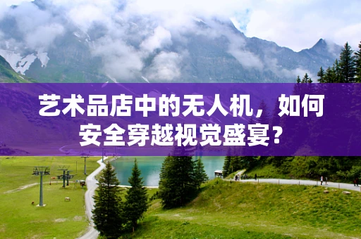 艺术品店中的无人机，如何安全穿越视觉盛宴？
