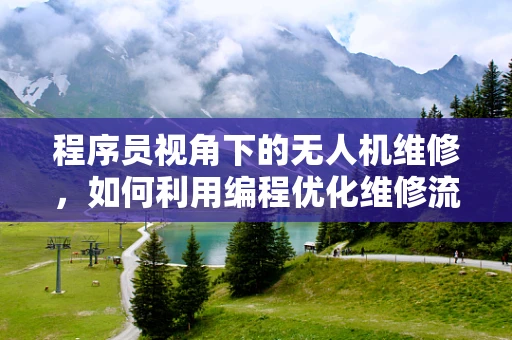 程序员视角下的无人机维修，如何利用编程优化维修流程？