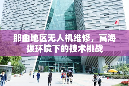 那曲地区无人机维修，高海拔环境下的技术挑战