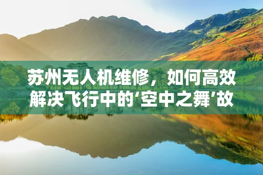 苏州无人机维修，如何高效解决飞行中的‘空中之舞’故障？