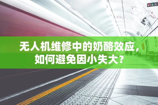 无人机维修中的奶酪效应，如何避免因小失大？