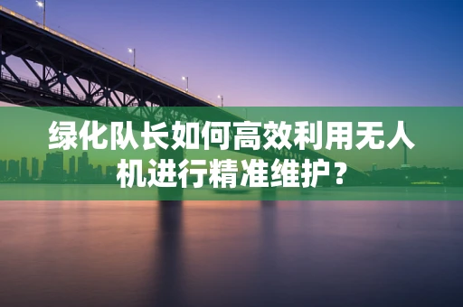 绿化队长如何高效利用无人机进行精准维护？