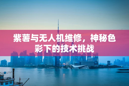 紫薯与无人机维修，神秘色彩下的技术挑战