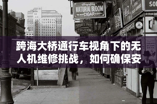 跨海大桥通行车视角下的无人机维修挑战，如何确保安全高效？