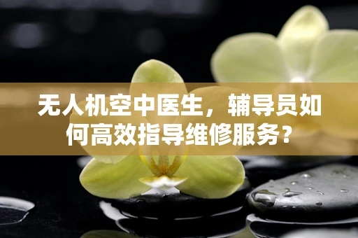 无人机空中医生，辅导员如何高效指导维修服务？