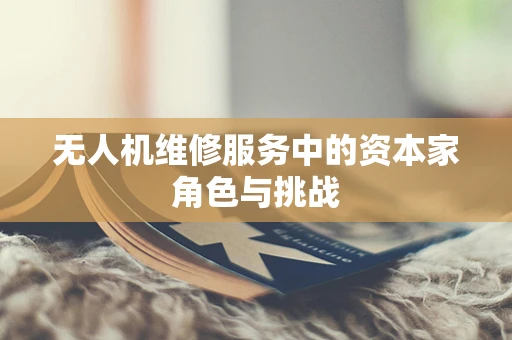 无人机维修服务中的资本家角色与挑战