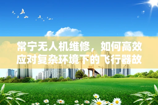 常宁无人机维修，如何高效应对复杂环境下的飞行器故障？