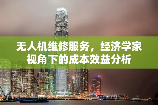 无人机维修服务，经济学家视角下的成本效益分析