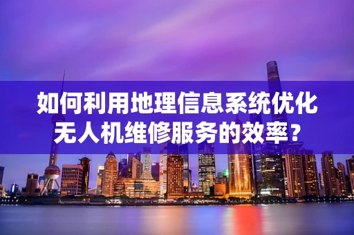 如何利用地理信息系统优化无人机维修服务的效率？