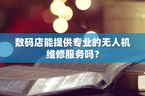 数码店能提供专业的无人机维修服务吗？