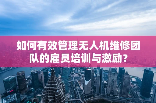 如何有效管理无人机维修团队的雇员培训与激励？
