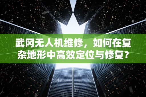 武冈无人机维修，如何在复杂地形中高效定位与修复？