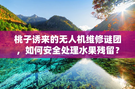 桃子诱来的无人机维修谜团，如何安全处理水果残留？